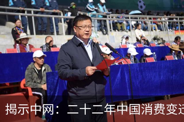 揭示中网：二十二年中国消费变迁的折射
